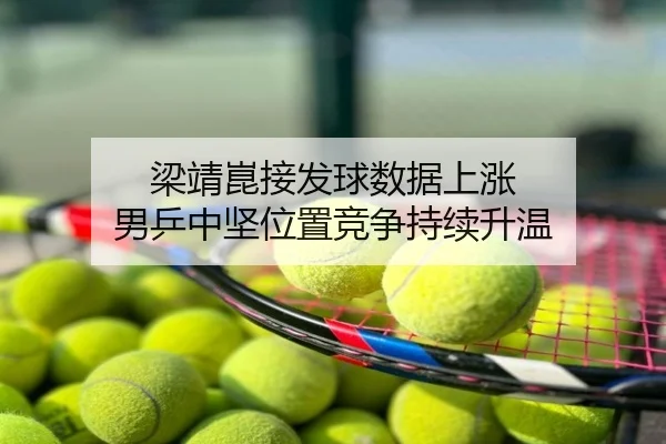 梁靖崑接发球数据上涨 男乒中坚位置竞争持续升温
